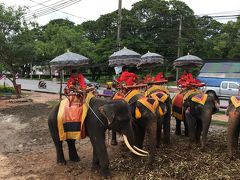 バンコク旅行 リベンジ 象とハグ
