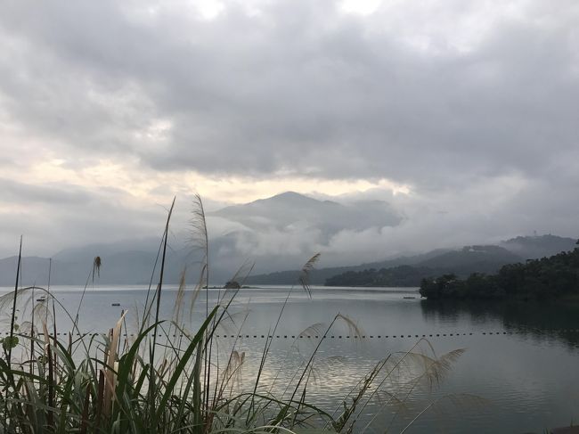 ２０回目の台湾旅行。<br />2日目前半。<br />この日は早朝5時10分からホテル主催のサイクリングツアーに<br />参加。宿泊者は、中国語圏の人たちばかりで日本人は私達だけ。<br />最初は不安だったけど、とっても楽しくて参加して良かったです！！<br />プチホテルのイベントは尻込みしないで積極的に<br />参加した方がいい思い出になるよね。<br />