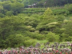 夏の思い出　　那須