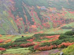 旭岳据合平で見られる大雪山の絶景紅葉 2017（北海道）