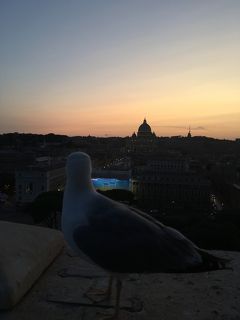 イタリアローマ_バチカン市国その2_新婚旅行♡4