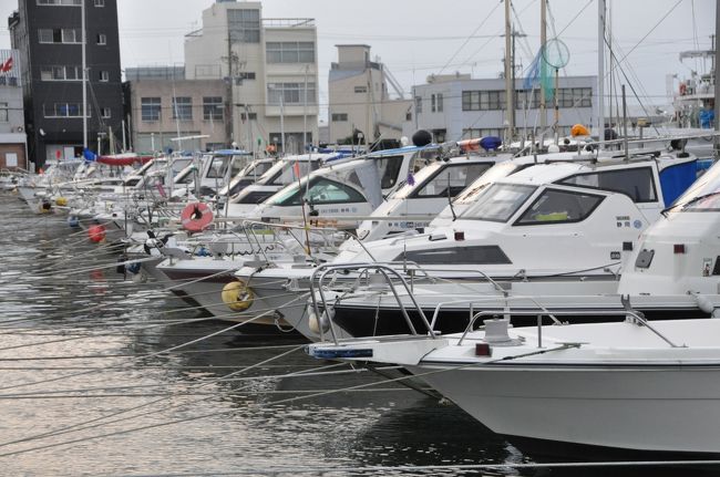 この夏の静岡旅行では、１泊目は焼津、2泊目は沼津に宿泊した。今回のメイン目的地は掛川城、静岡浅間神社、久能山東照宮そして富士宮浅間神社だ。そして裏メニューは焼津・沼津に宿泊しての海産物探訪だった。しかし後者は全く果たせなかった。メイン目的地については富士宮浅間神社しかアップしていないが他は後日ということで、今回は静岡旅行①をダイジェスト的に取り上げたい。