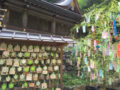 京都散策～七夕祭り～