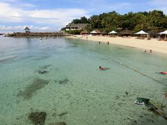 熱帯魚と泳げるセブ島