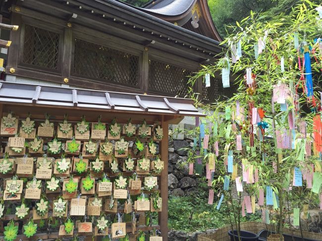 8月ですが、京都では七夕の催しが色々な所でされています。<br /><br />一乗寺のラーメンを食べた後、自然の中にあり夏でも涼しい避暑地の貴船、夜の河原町の河川敷を散策しました。<br /><br />ここ数年毎年行っている私の中での定番コースです♪( ´▽｀)<br />
