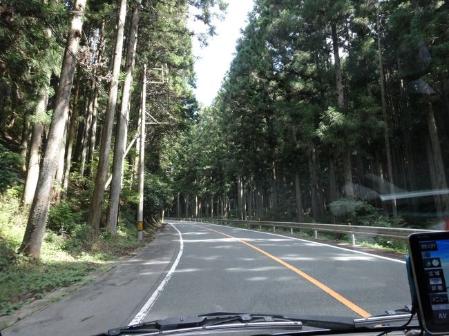 　何十年ぶりかに鳳来寺に登ります。<br />　ここに来たのは、いつのことだったのでしょう。<br />　遠い昔、そう、まだ独身だった頃、友人２人と行く当てもなく車で来たことがあり・・・、<br />　そして我が子が幼い頃、父母も一緒に家族でやって来たのではあるまいか。<br />　もしかしたら、お見合いの相手とも、デートでやって来たことがあるような？<br />　そんな思い出の地に、今日は女房と２人で登ります。