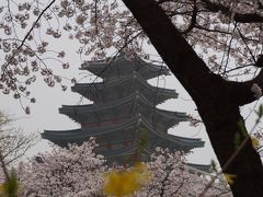 久しぶりのソウルで定番グルメ食べ歩き2日目・3日目