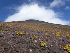 目指せ！為せば成る・・・富士山登頂！