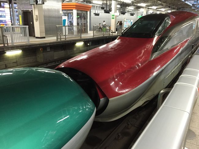 <br />久々に飛行機で遠出の旅行。<br />長女にとっては初めての飛行機でした。<br />あいにくの天気でしたが、楽しく過ごすことができました。<br /><br />初日は秋保温泉で温泉&プール三昧!<br />仙台駅直結のホテルに泊まったので、仙台駅散策も楽しみました。<br />関西在住なので、新幹線のはやぶさとこまちには家族みんな大興奮でした!<br /><br />