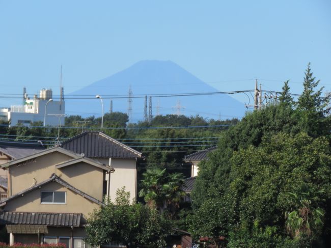 9月18日、午前8時頃に台風一過で久しぶりにふじみ野市より富士山が見られた。　富士山には積雪が無く蒼黒い色の夏富士であった。<br /><br /><br /><br />*写真は午前8時頃に見られた台風一過の富士山<br /><br />