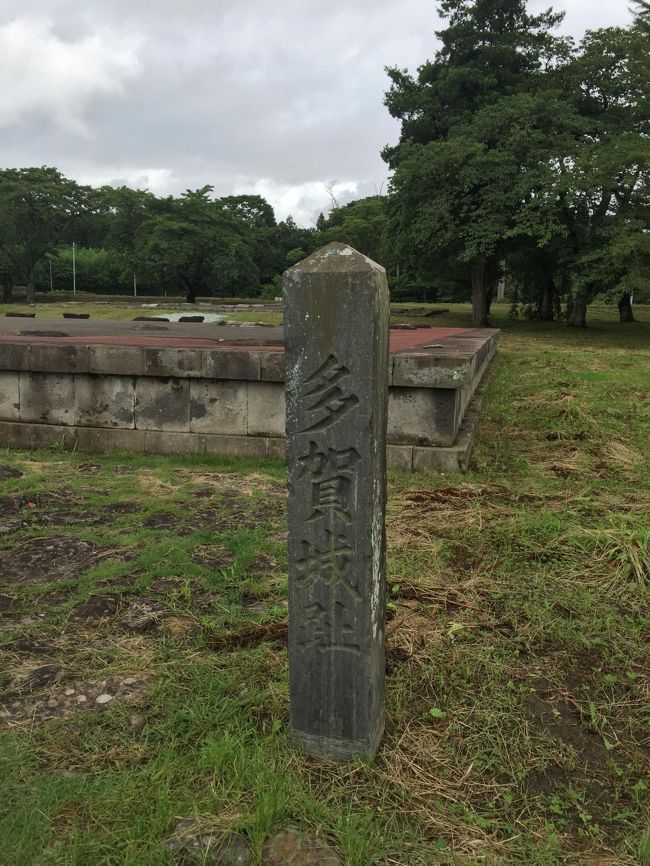 久々に飛行機で遠出の旅行。<br />長女にとっては初めての飛行機でした。<br />あいにくの天気でしたが、楽しく過ごすことができました。<br /><br />2日目は多賀城跡と松島へ向かいました。