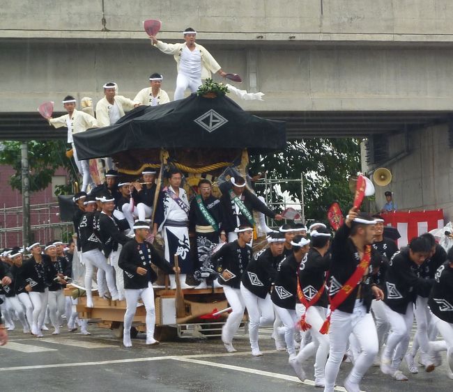 岸和田だんじり祭を見てきました。台風18号の影響で雨交じりの中でしたが、迫力ある「やりまわし」を堪能しました。