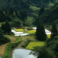 新潟　松雲山荘、飯塚邸、貞観園、山本山クラインガルテン、山古志の棚田、機那サフラン酒本舗