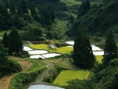 新潟　松雲山荘、飯塚邸、貞観園、山本山クラインガルテン、山古志の棚田、機那サフラン酒本舗