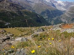 スイス・アルプスを巡る・・・・・ツェルマット・ロートホルン・スネガ(ハイキング)