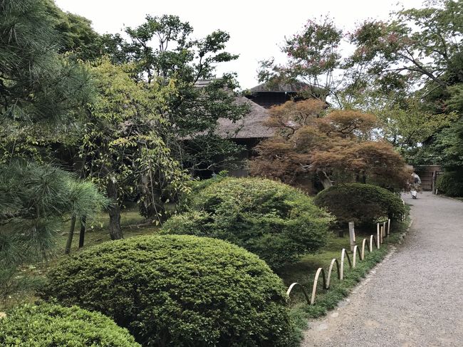ボンビー車中泊の旅 Vol 6 横浜元町 中華街 横浜 神奈川県 の旅行記 ブログ By アリパパさん フォートラベル