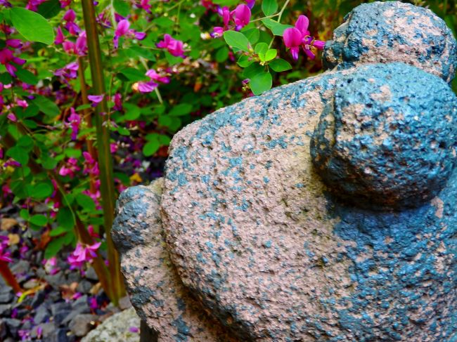 伏見にある勝念寺の９月の花が見頃のようでしたので出かけてみました。<br />萩、彼岸花、芙蓉。小さなお庭に溢れんばかりの秋の大盤振る舞いでした。