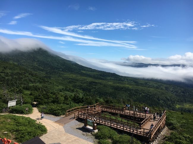 2017の夏休みは、ずっと想い続けていた北東北へ行って来ました。東北は20代の頃に、夏はバイク・冬は列車でよく訪れたお気に入りの地！5年前の夏は、仙台・石巻・南三陸・陸前高田・遠野をマイカーで周りました。そして今回は、往復飛行機とレンタカーを利用して秋田・青森・岩手そして仙台を巡る旅です。その中でも訪れたかった所が、田沢湖・十和田湖・奥入瀬渓流・酸ヶ湯温泉・久慈・野田村そして東北新幹線に乗ることです。<br />数十年ぶりに訪れた北東北は、変わってしまった所もあれば変わらない良さもある、本当に素敵なところでした。天候には恵まれないこともありましたが、行って良かった東北！ずっと想い馳せていた旅ができました。<br />１日目・・セントレア(7:45発ANA1837)→秋田空港(9:05着) レンタカー 田沢湖　～　十和田湖・星野リゾート奥入瀬渓流ホテル泊<br />2日目・・早朝、渓流モーニングカフェ&amp;奥入瀬渓流散策 。午後 、八甲田ロープウェイ&amp;山頂散策 　 酸ヶ湯温泉泊<br />3日目・・蕪島神社・種差海岸経由～久慈（あまちゃんハウス）　午後、久慈観光ツアーバスにて小袖海岸・琥珀博物館　　国民宿舎えぼし荘泊<br />4日目・・国道45号線を走行　～　釜石大観音　～　一ノ関（レンタカー返却）一ノ関駅発15:50やまびこ52号→仙台駅（16:22着）→仙台空港駅 　仙台(20：00発ANA370) →セントレア(21：20着)<br /><br />3泊4日旅の二日目の午後は、八甲田ロープウェイで山頂散策と宿泊先の酸ヶ湯温泉旅館へと行きました。今回の東北旅の滞在中4日間で唯一の青空！八甲田山での雄大な風景を楽しみました。酸ヶ湯温泉は、以前バイクツーリング中に日帰り入浴で利用したことがあります。その時、いつかこんな温泉宿に泊まってみたいなぁと思っていたところで、今回の旅の宿泊先に迷わず選びました。木の香りと温泉の硫黄の匂い漂う風情のある温泉宿、泊まって良かった！酸ヶ湯温泉旅館です。