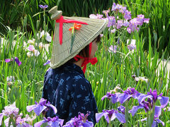 潮来花嫁さんは船でゆく