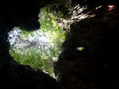 夏休みは離島へ行こう！～屋久島～