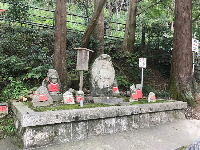 京都に１泊２日、９月７日に祇園にオープンしたセレスティン京都祇園に宿泊してきました。<br />二条城で開催されている「アジア回廊　現代美術展」を鑑賞、芸術は難しい・・・<br />もみじにはまだ早すぎるけど、真夏ほど暑くない、お散歩しやすい初秋の京都をたくさん歩いた旅でした。