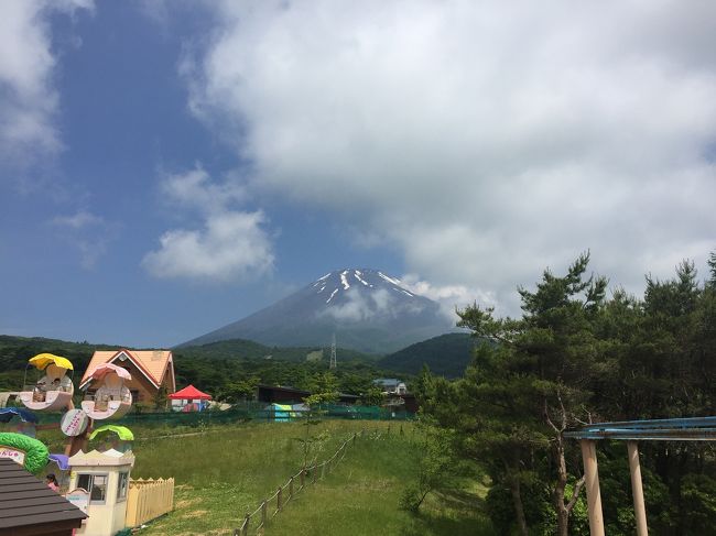 2017年 ママちゃんの誕生日お祝いで1泊山梨旅行。<br />子どもたちが楽しめるようにと「ぐりんぱ」へ。