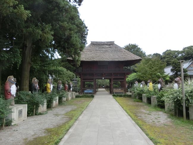 「茂林寺」は「群馬県館林市堀工町」にある「１４２６年（応永３３年）」に「大林正通禅師」により開山した「昔話の分福茶釜」のゆかりの寺として知られる「曹洞宗の寺院」です。