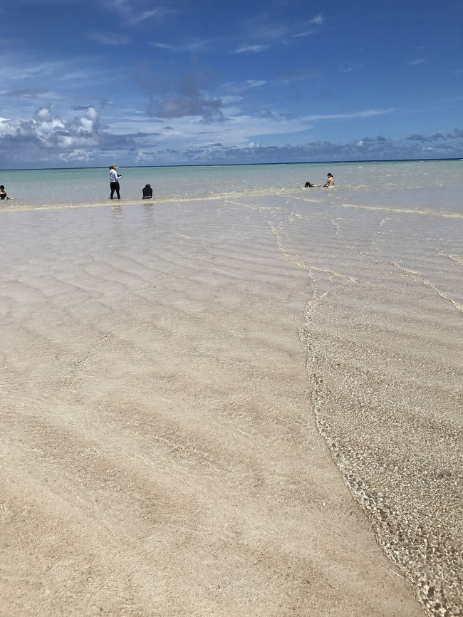 夏休みをもらって那覇から奄美大島までをフェリーで渡る旅をしました。<br /><br />9月20日（水）：羽田空港15:55→18:20那覇空港<br />9月21日（木）：那覇港07:00→11:50与論港<br />9月22日（金）：与論港12:10→14:10和泊港<br />9月23日（土）：和泊港14:40→20:30名瀬港<br />9月24日（日）：終日奄美大島<br />9月25日（月）：奄美大島空港16:45→18:55成田空港<br /><br />①https://4travel.jp/travelogue/11284134<br />②https://4travel.jp/travelogue/11285030<br />③https://4travel.jp/travelogue/11285681<br />④https://4travel.jp/travelogue/11286317<br /><br />この旅行記は与論港から沖永良部手前まで。