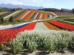 札幌発日帰り？ワンデー美瑛・上富良野～美瑛と上富良野の花を楽しむ日帰り？旅～（前編） 