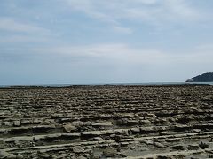 博多発日帰り？ワンデー青島