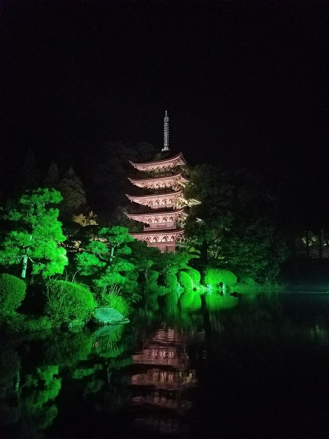 山口駅近辺に用事ができたので空き時間に歩いてみました。<br />写真は夜の五重塔。