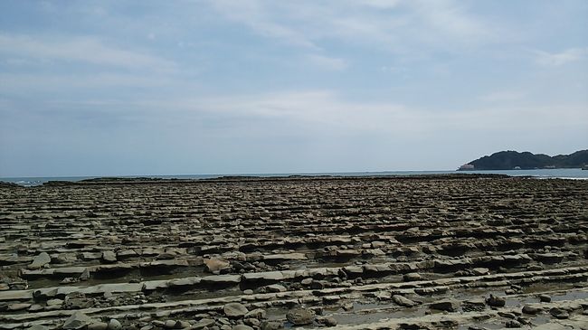 博多発日帰り？ワンデー青島