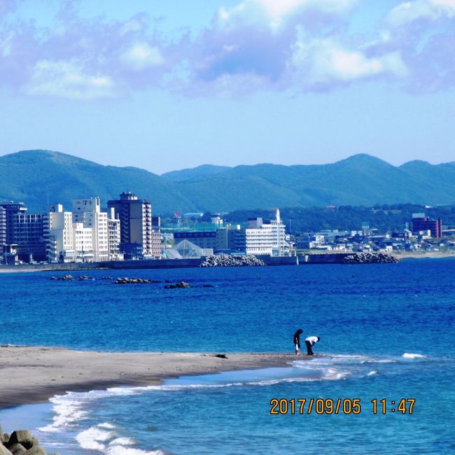 湯の川温泉にホテルステイをしました。３日は「東横イン函館朝市」・４日から８日までの４泊を「湯の川観光ホテル祥苑」です。「祥苑」は今年に入って３度目のリピートになります。なにせリーズナブルに宿泊出来るから多用します。何よりも最大のメリットの ①は一人だけの宿泊がＯＫ。②は宿泊料(一泊２食・飲み放題・食べ放題・他）がリーズナブル。温泉ホテル(旅館）で、この①と②は通常…考えられない良さです。<br />「祥苑」はこの１０年来で通算しますと５０泊以上しています。あんまり記すとコマーシャルになりますのでＳＴＯＰ。<br /><br />表紙の写真は 国道２７８号・大森海岸から「湯の川温泉街」を撮影。