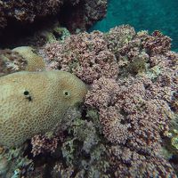 続そこにあるのになかなか行けない水納島　さてどうなるか　の2017年多良間島の秋休み（後編）