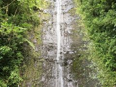 えりんぎハワイへ行く！！３日目/マノアの滝トレッキング