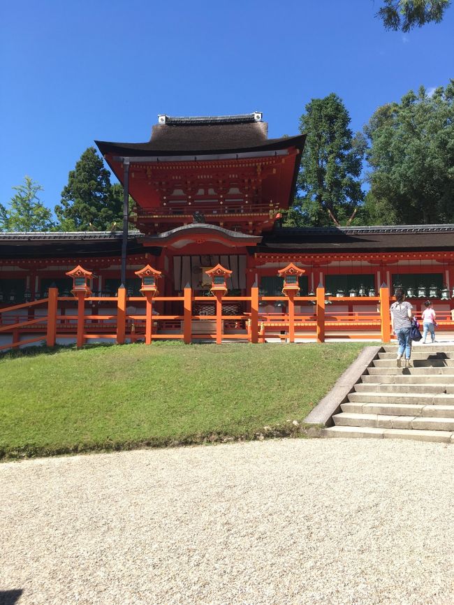 ちょっと別の用事があって奈良へ行くついでに、小学校の修学旅行以来の奈良観光をしようと思い立ち、一日早めて訪問してきました。<br />東京からだったので、新幹線、JRの都路快速乗り継いで、ついたのが昼過ぎ。ホテルに荷物おいて。。。駅からバスに乗ってまずは春日大社へ(寺社巡りでは神社の方が早く終わるイメージがあり)<br />JR奈良駅からは循環バスが出ていて、ICカードで乗車出来たので便利でした。<br />春日大社行って、若宮さん行って。。周りの十五社めぐって。。ってしてたら軽く1-2時間はたってしまい、そこから東大寺に向かいましたが、東大寺さんも広し!とりあえず大仏殿は行って、そこから日暮れまでに二月堂、法華堂回りたい!ってガンガン歩いて、それでも時間厳しかったですね。。。ミュージアム閉館前に滑り込み。<br />戒壇堂や正倉院の方へは行けませんでした。。。また再訪します。東大寺だけで半日はいるなぁ。<br />その後はお店なんかも閉まってしまうので、退散。しかもかなりのウォーキング量(2万歩位)で疲れてしまい、そこからならまちへ行く余裕もなく。駅までバスで帰りました。ホテルで温泉!<br />翌日はお昼から用事があったので、午前中で興福寺と元興寺を回りました。興福寺さんは色々工事中でタイミングが悪く、阿修羅は見れず、御朱印に昨今のブームを見越した対応を見て、ほんのすこし残念でした。<br />奈良公園一帯にいる鹿もせんべいを狙いたまにアグレッシブになるけど、基本かわいらしい。のんびりした空気になるし、草を食べてくれるのであれはあれでよいのではないかと思ったりしましたw<br />今度はもう少しゆるい日程を組んで、東大寺メインで回りたいと思いました。<br />