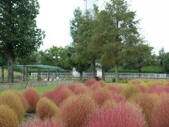 ■ 木曽三川公園となばなの里の旅