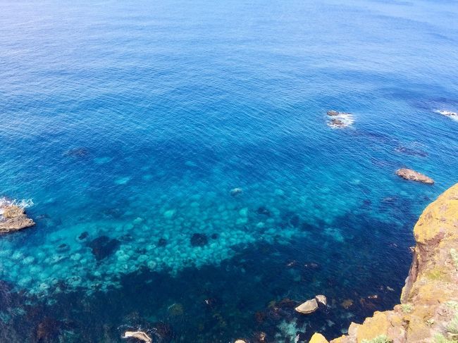 6月の28、29日に一泊2日で小樽に旅行にいきました。わりと弾丸トラベルになりましたが、積丹ブルーに感動し、おいしい海の幸やソフトクリームに心もお腹も大満足の旅になりました^ ^