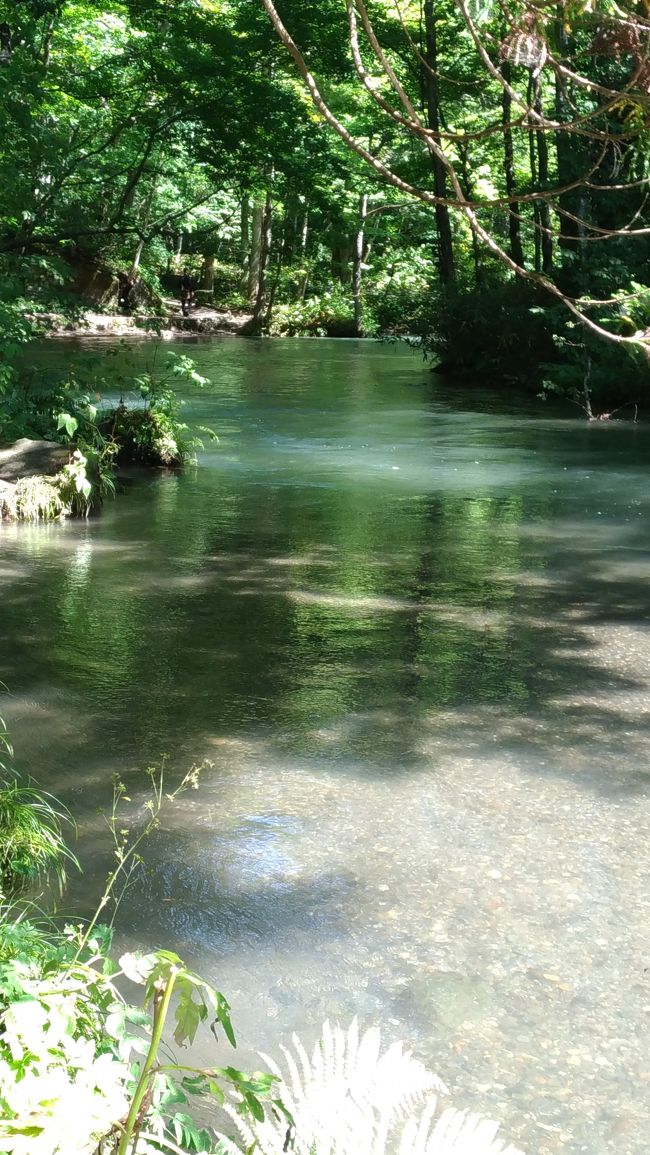 青森?何しに行くの?<br /><br /><br />…と旅行前はたくさんの人に言われましたが、<br /><br />行ってみたら自然もアートもあって(おまけにごはんもおいしくて)、<br /><br />一緒に行った友だちは「北海道より好きかも…」と呟いていました。<br /><br /><br />〈費用/1人あたり〉<br />・飛行機(FDA) 往復約30,000円<br />・宿(十和田プリンスホテル) 2泊で約32,000円<br />・レンタカー 3日で約10,000円<br />→合計 約72,000円<br /><br /><br />〈服装〉<br />全日、私は半袖、友だちは薄手のパーカーを羽織っていました。<br />早朝と夕方は半袖だとちょっと寒かったです。