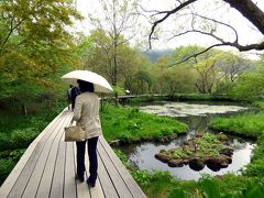 ０６．ＧＷ後半のＨＶＣ箱根甲子園１泊　箱根湿性花園その２