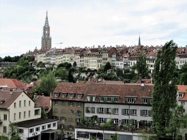 　スイス旅行８日目。<br />そして最後の観光場所になりました。<br /><br />　ベルンの旧市街地は赤い瓦の屋根の家が並んでいてきれいでした。<br />時計塔からクマ公園まで歩きました。<br />そのあとはバスでバラ公園に行き、旧市街の全景を見ることができました。ても落ち着いた街です。