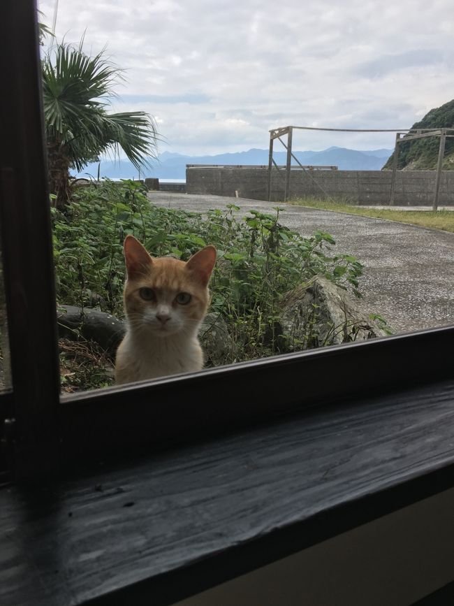 蒲江港から深島へ船で行ってきました