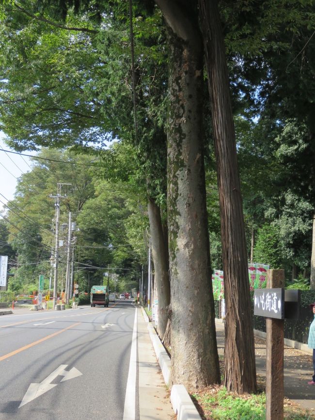 9月24日、上富で昼食後に「いも街道」を覗いてみることにした。　いも街道には国道334線沿いの両脇に川越いも栽培農家があり、約1キロの長さになっている。　各農家の庭でさつまいも等の季節農産物を直売している。9月より11月迄の間で賑わっている。<br /><br />取りあえず、当方は「いもCafe」を経営している「武蔵野自然農場」に立ち寄り、さつまいもを試食して美味しかった、「むさしこがね」を買うことにした。　その後、いも街道の中央にある「江戸屋弘東園」に立ち寄り、狭山茶といも羊羹を購入した。<br /><br />このいも街道をサイクリングしながら通っていくと爽やかな秋風と風景とで秋をたっぷりと感じることが出来た。<br /><br />*写真は「いも街道」の標示