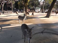 関西　2日目