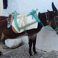 カリメーラ　ギリシャ　サントリーニ島