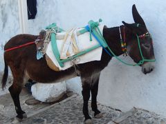 カリメーラ　ギリシャ　サントリーニ島