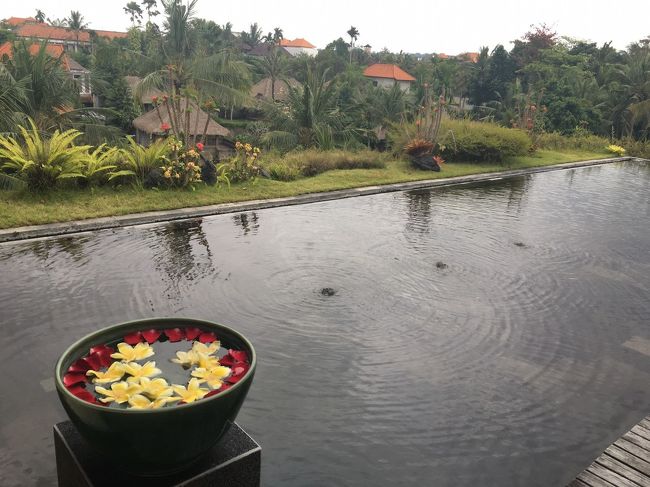 母と娘のウブド女子旅・シドゥメン村も行ったよ♪2日目その3（スパ～アフタヌーンティ編）