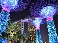 '17シンガポール訪問記No.2：SSOコンサートで樫本大進のメンコンを聴き、ガーデンズ・バイ・ザ・ベイを散策する