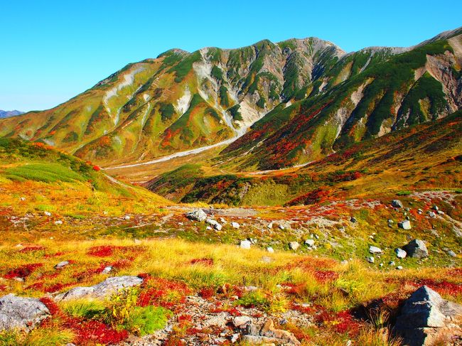 平日に2連休があり、紅葉が始まったばかりの立山・室堂に行ってきました。<br /><br />1日目は雄山-大汝山-富士ノ折立と立山を登山。<br />予想以上に雄山への登山は苦戦したけど、北アルプスと室堂の絶景！雷鳥さんにも出会えました。<br />夜は日本一高い所にある温泉宿みくりが池温泉に宿泊。美味しいご飯と快適な寝床、硫黄が香る温泉に浸かりながら見る夕陽が最高でした。<br /><br />2日目は雷鳥沢まで降りて紅葉観賞。<br />河原でぼーっと眺める非日常な景色。何もしない贅沢。<br /><br />初めて立山に行ってみましたが、素晴らしいトコロでした。<br />今度は別山～雄山縦走してみたいなぁ。<br /><br />みくりが池温泉　<br />http://www.mikuri.com/index.html<br />立山黒部アルペンルート<br />https://www.alpen-route.com/index.php<br />紅葉情報<br />https://www.alpen-route.com/seasonal-news/