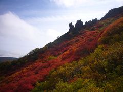 最高の紅葉